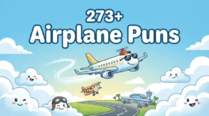 airplane puns